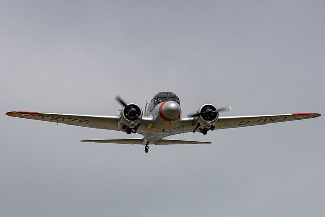 In volo per un sorriso 2024